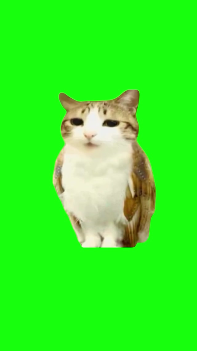 Meowl meme template blank
