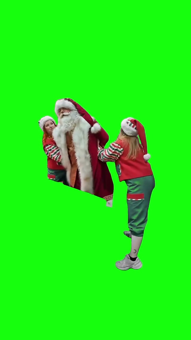 A Succulent Christmas Meal meme template blank