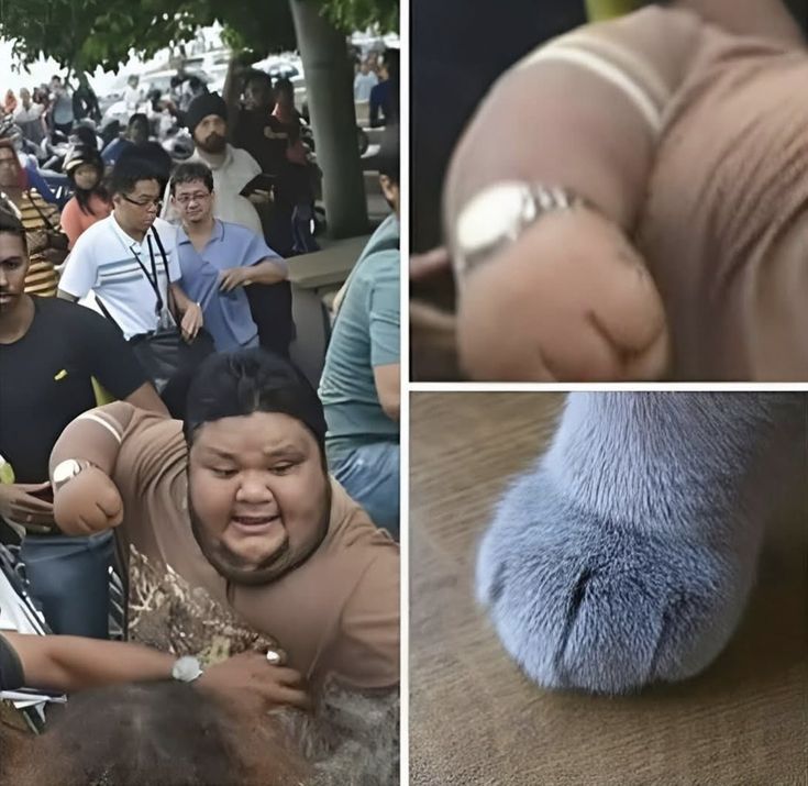 Aggressive Fist Comparison meme template blank