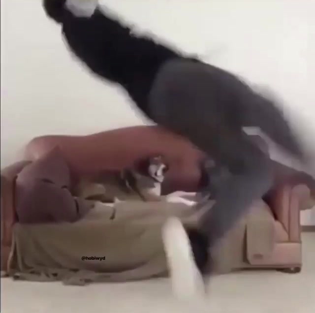 Aggressive Worship Dance meme template blank