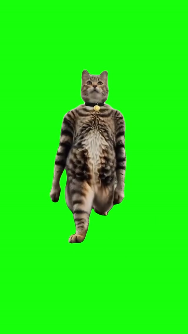 AI Cat Dancing meme template blank