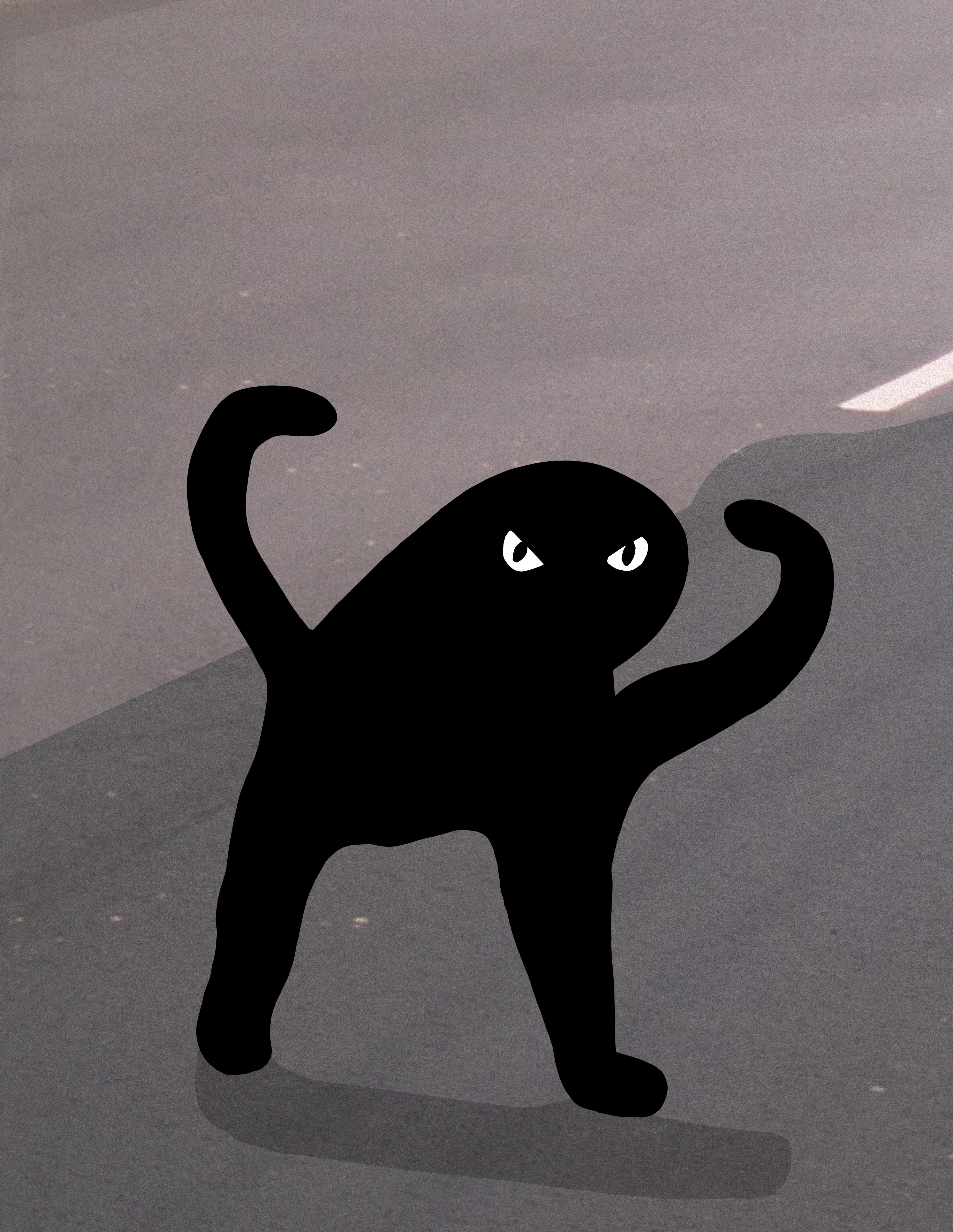 Angry As Fuk Cursed Cat meme template blank - image format