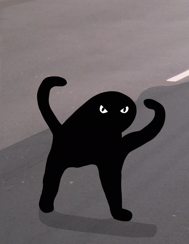 Angry As Fuk Cursed Cat meme template blank