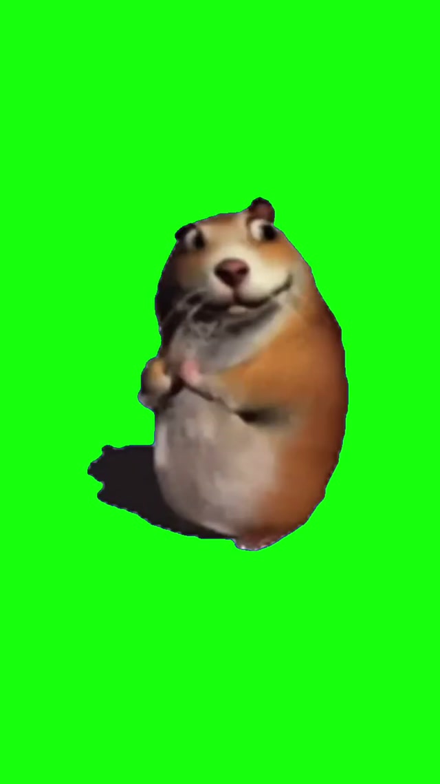 Animated Hamster Doing Things meme template blank