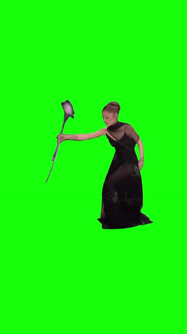 Ariana Grande Wand Spin meme template blank