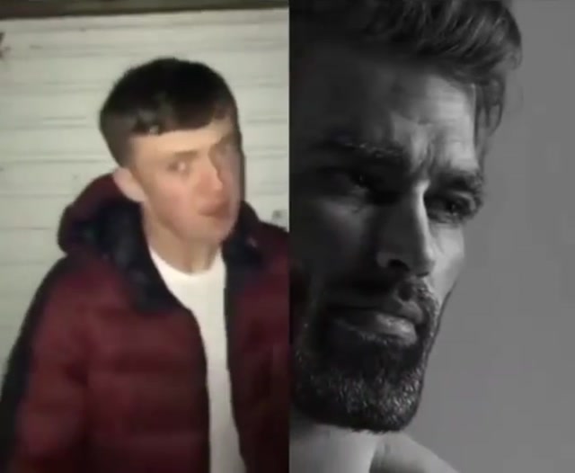 Average Fan vs. Average Enjoyer meme template blank