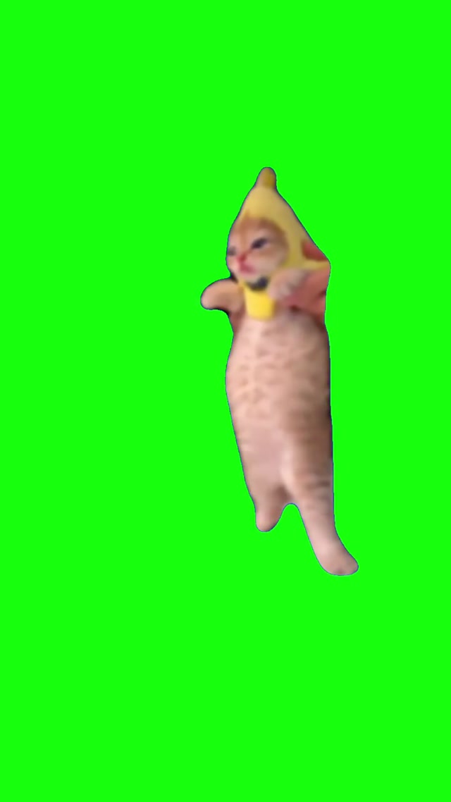 Banana Cat Dancing meme template blank
