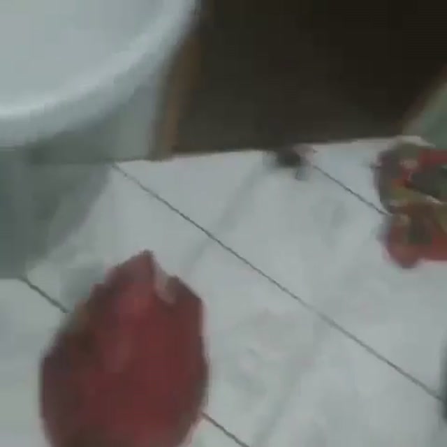 Bathroom Spider Jumpscare meme template blank