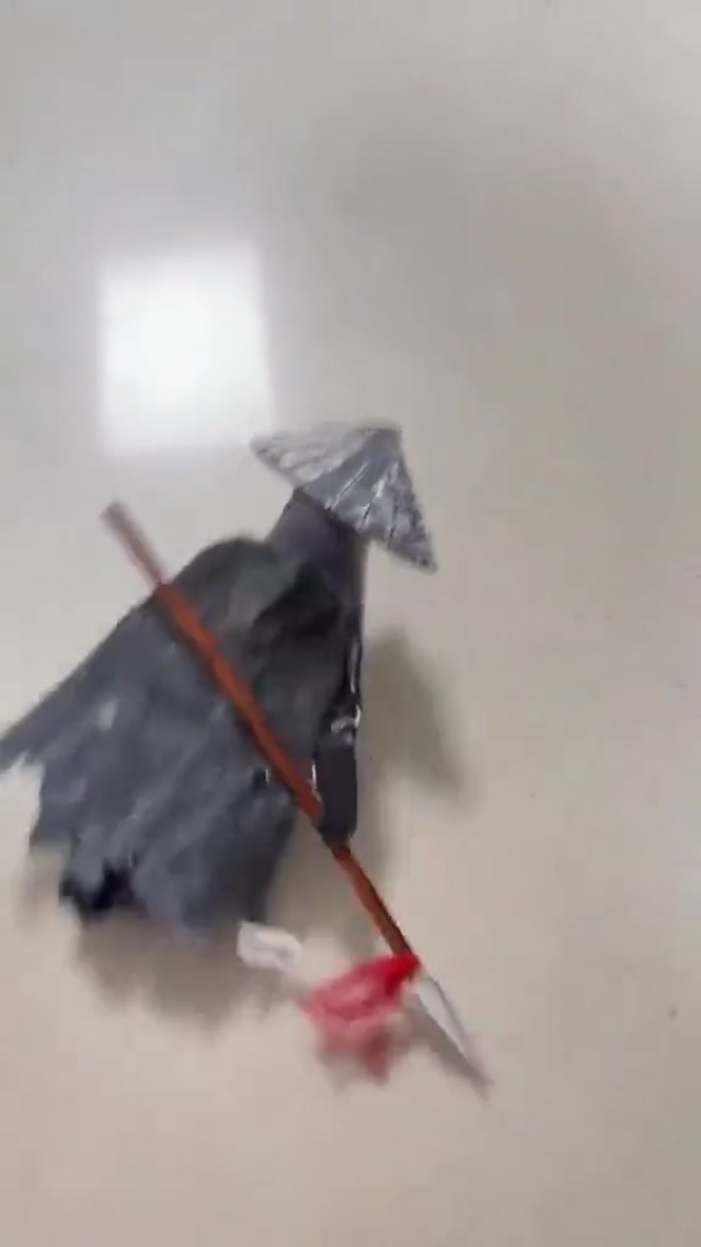 Bird vs. The Cardboard Warrior meme template blank