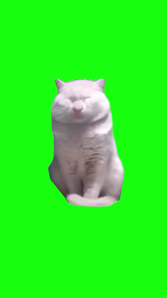 Brother Calm (Cat Meme) meme template blank