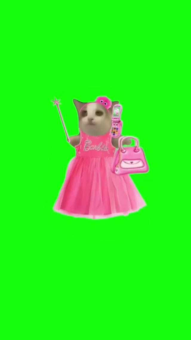 Butterfly Cat meme template blank