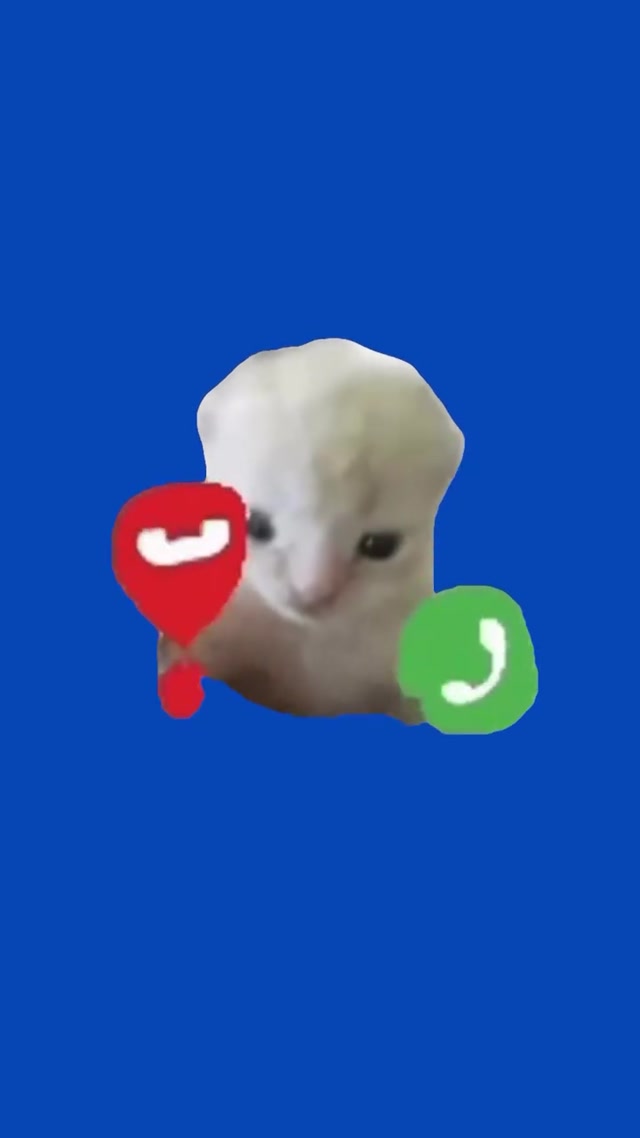 Call Cat Meme meme template blank