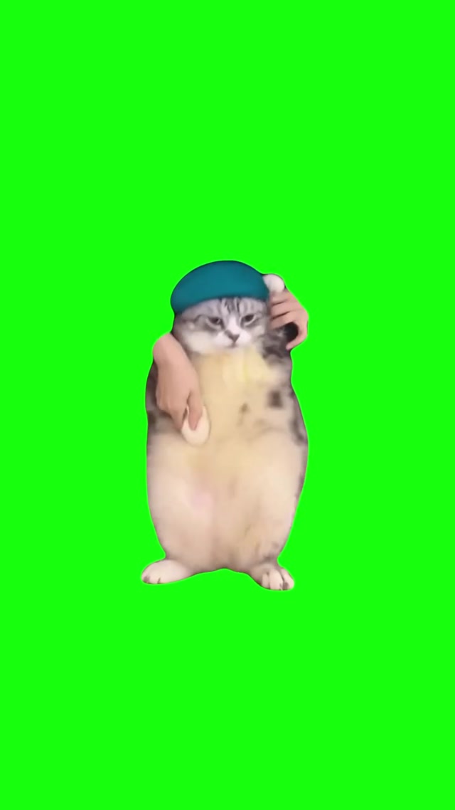 Cat Dances to Girlfriend meme template blank