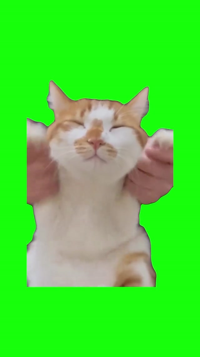 Cat Dancing to Mickey Mouse Clubhouse meme template blank