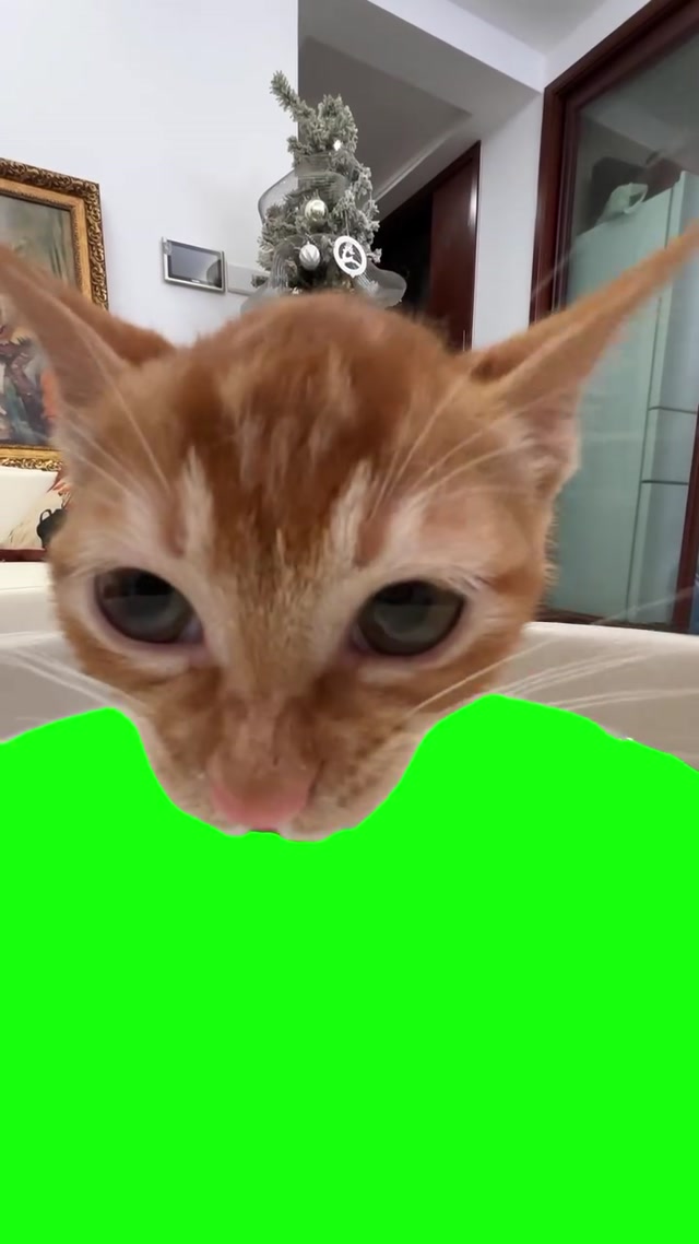 Cat Drinking Milk meme template blank