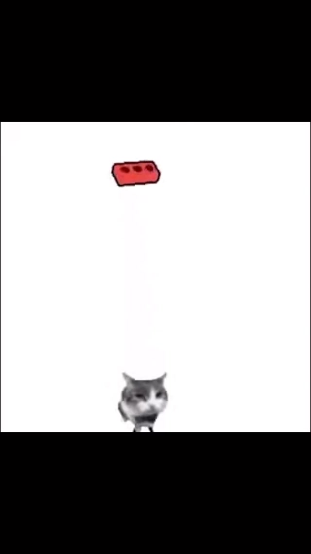 Cat Hitting a Brick with a Racket meme template blank