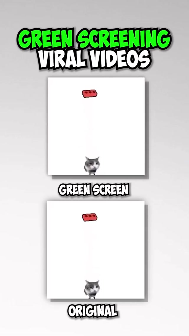 Cat Hitting a Brick with a Racket meme template blank