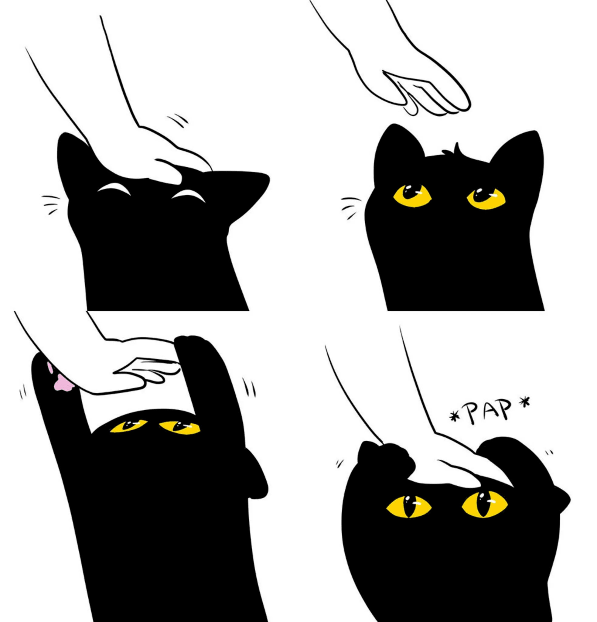 Cat Pap meme template blank - image format
