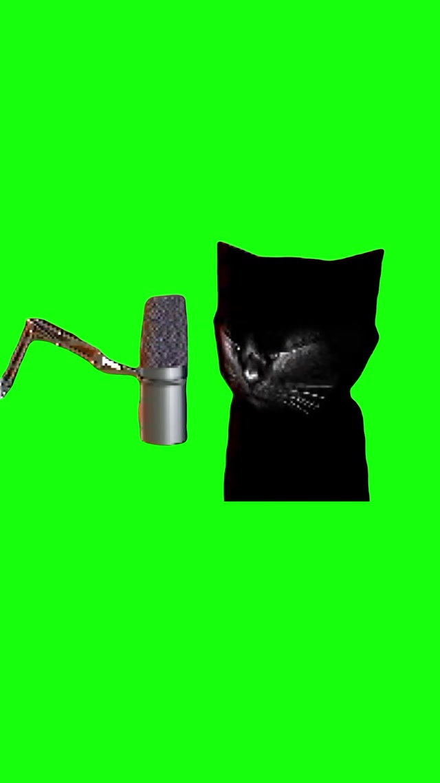 Cat Podcast meme template blank