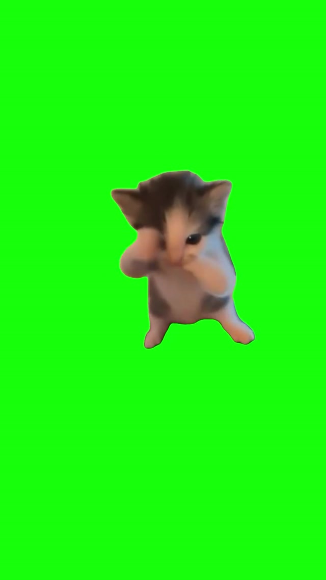 Cat Scuba Dancing meme template blank