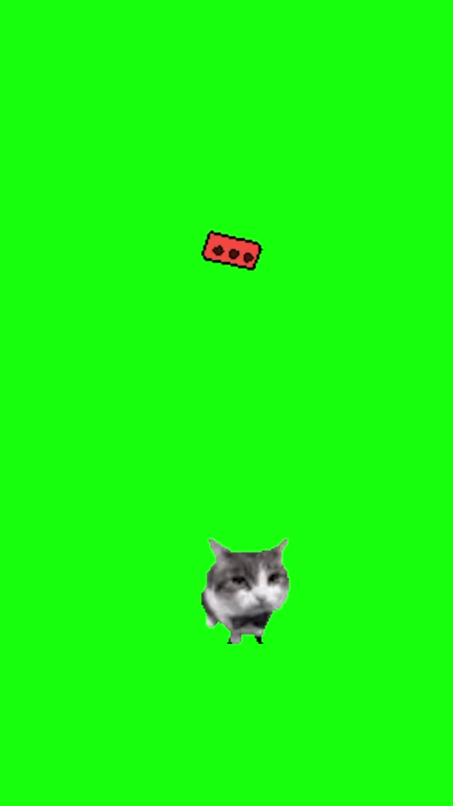 Cat Throwing a Brick meme template blank