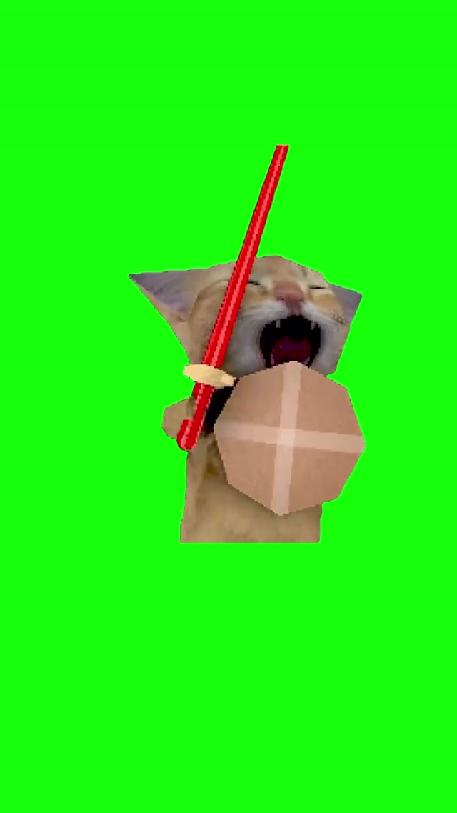 Cat With Shield Meme meme template blank