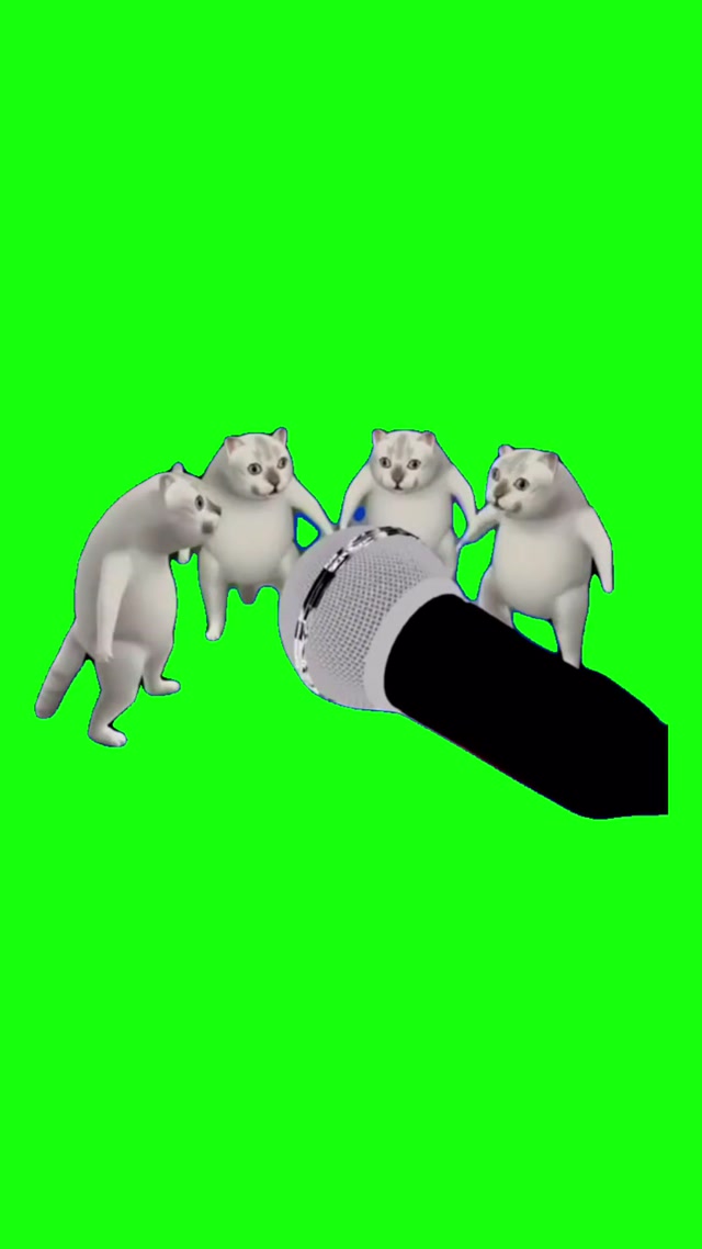 Cats Singing – Murcat meme template blank