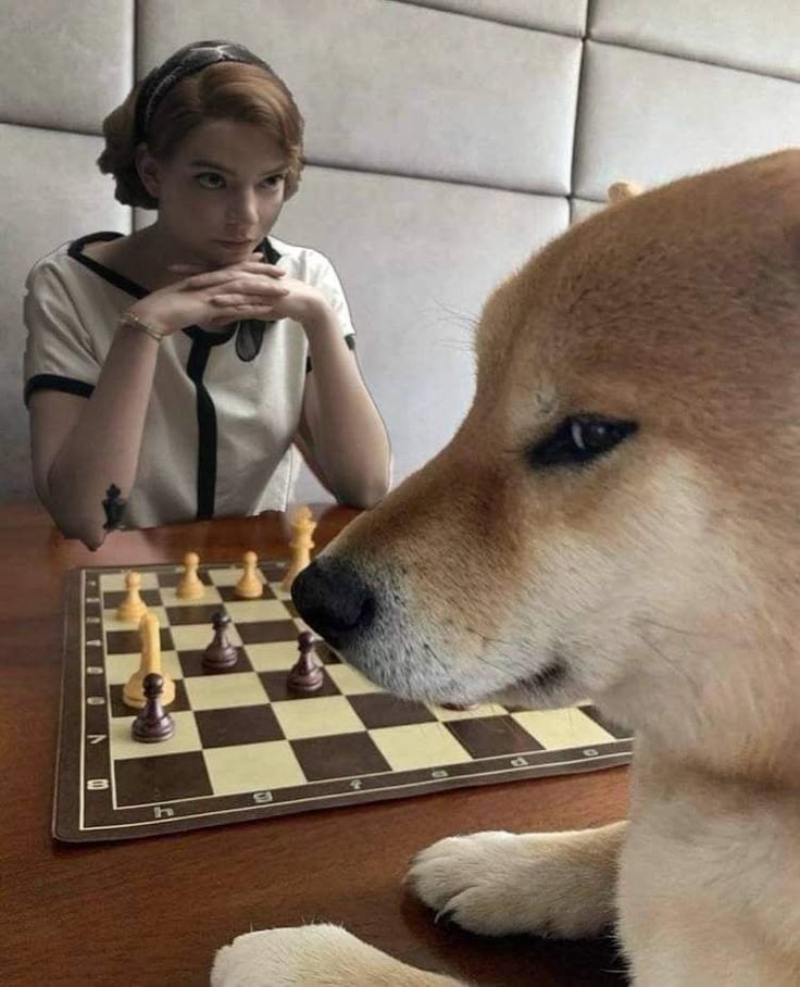 Chess Match Stalemate meme template blank