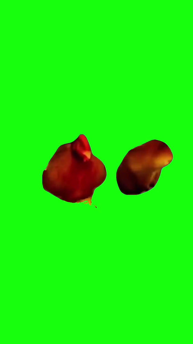 Chicken and Hamster Dancing meme template blank