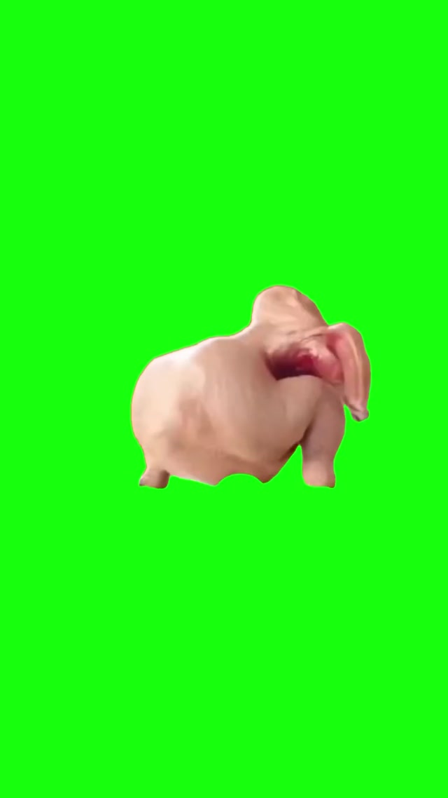 Chicken Dancing to Waka Waka meme template blank