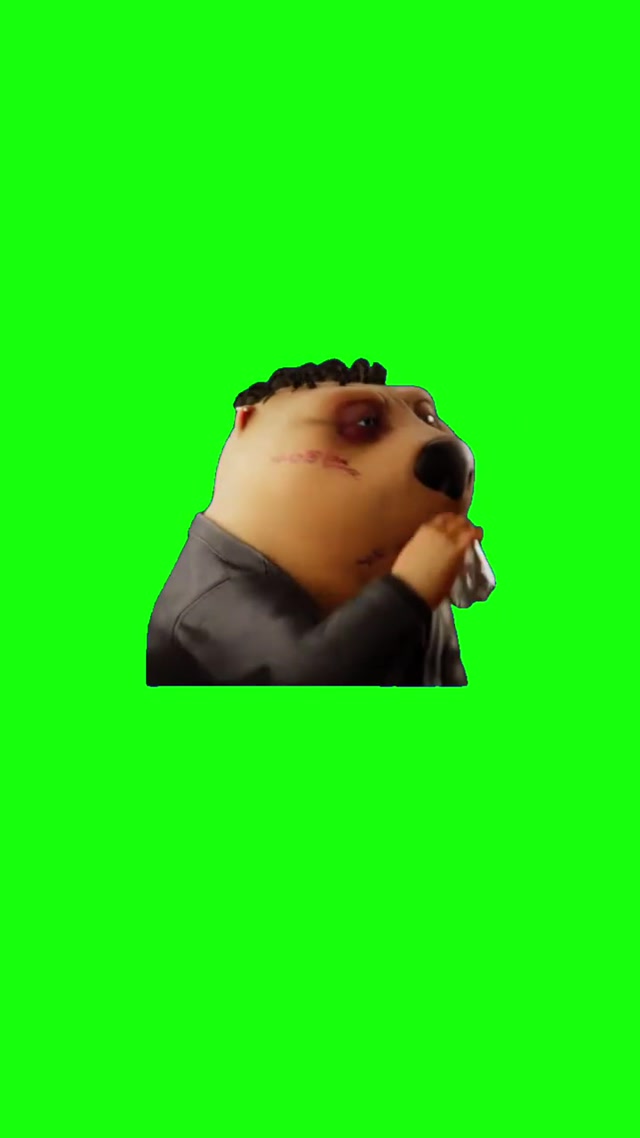 Chinese Beaver Taking a Shot meme template blank