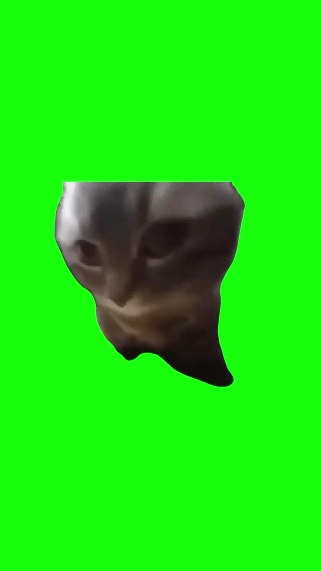 Chipi Chipi Chapa Chapa Cat meme template blank