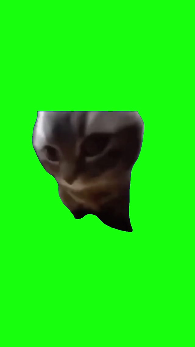 Chipi Chipi Chapa Chapa Cat meme template blank