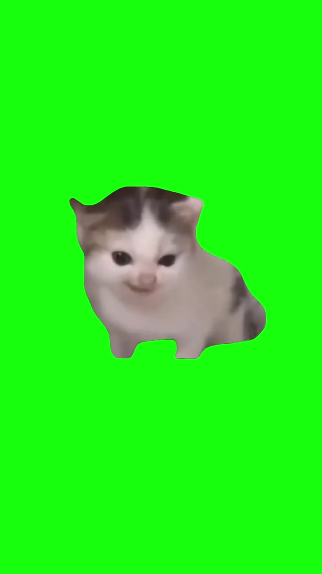 German Cat meme template blank