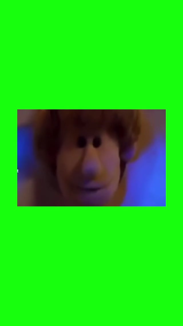 Giant Cracker Shaggy meme template blank