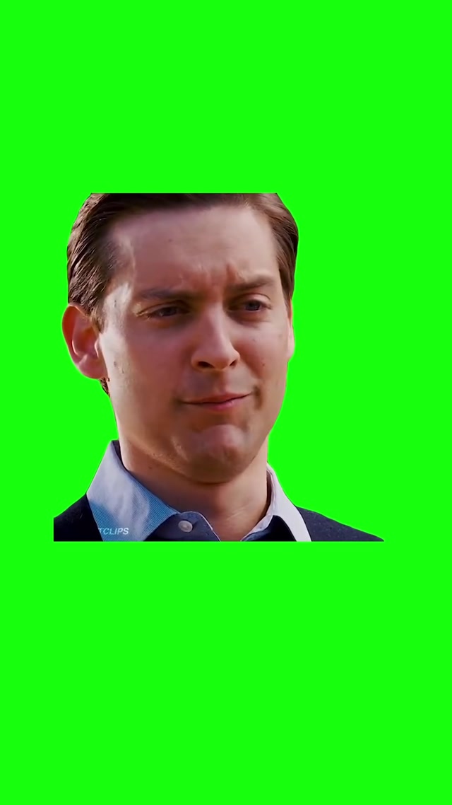 Comment 'VIDEO' for a Download Link! “Please Don’t Say That” Spider-Man 3 meme template blank