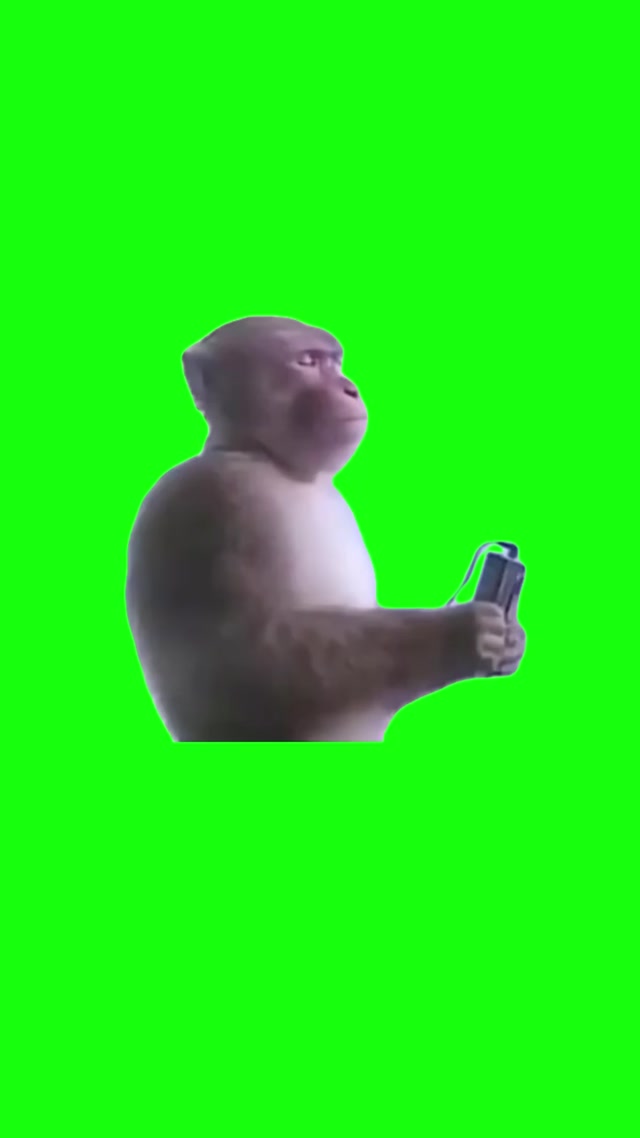 Monkey With Earbuds Vibing meme template blank