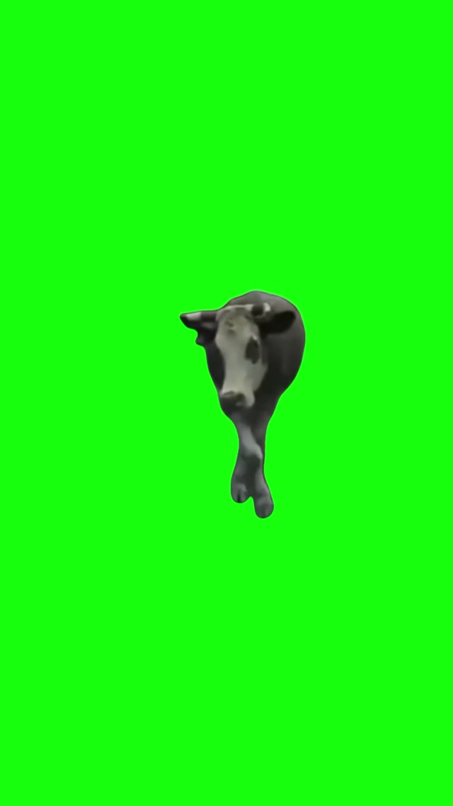 Cow Model Walking meme template blank