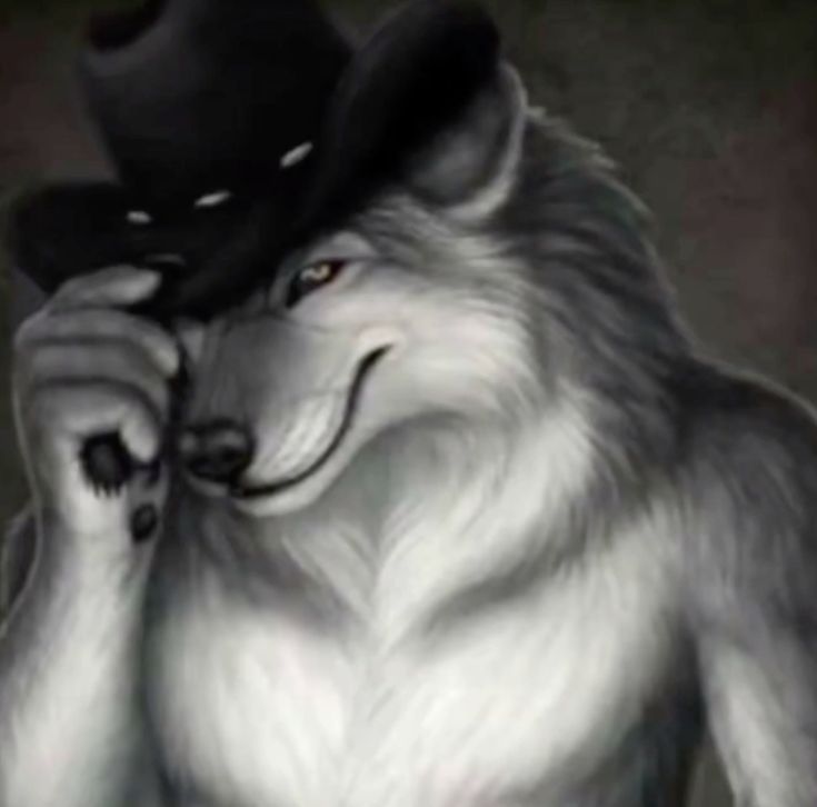 Cowboy Wolf Tipping Hat meme template blank