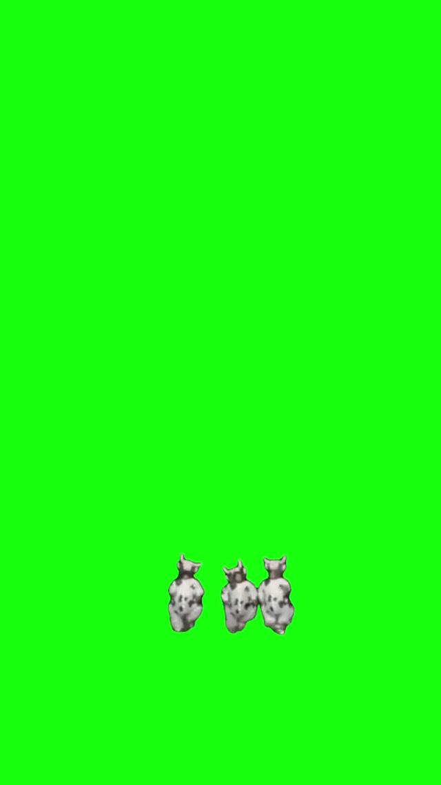 Cows Dancing to Ram Sam Sam meme template blank