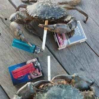 Crabs Having a Smoke meme template blank