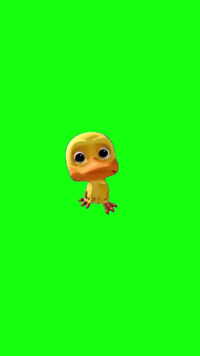 Crying Duck Meme meme template blank