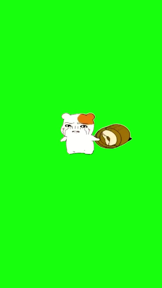 Crying Hamster meme template blank