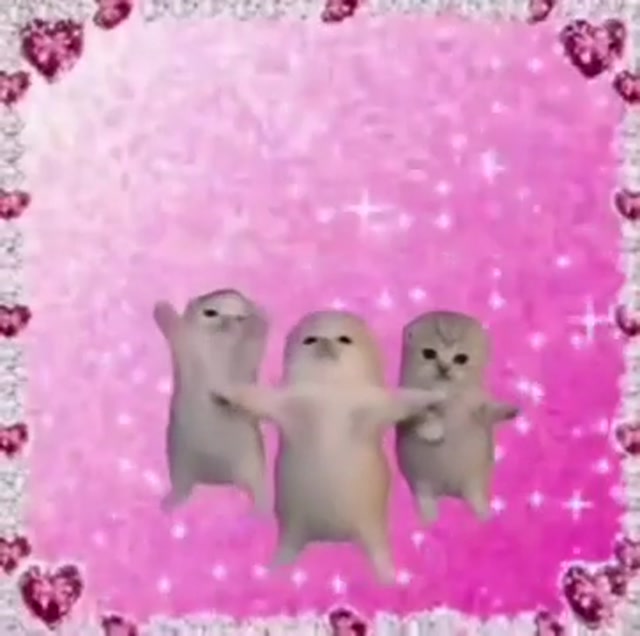 Dancing Kittens meme template blank