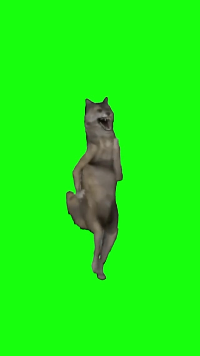 Dancing Wolf Meme meme template blank