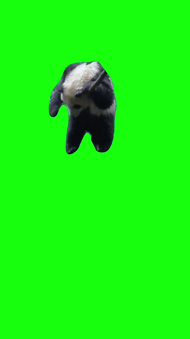 Depressed Panda in the Rain meme template blank