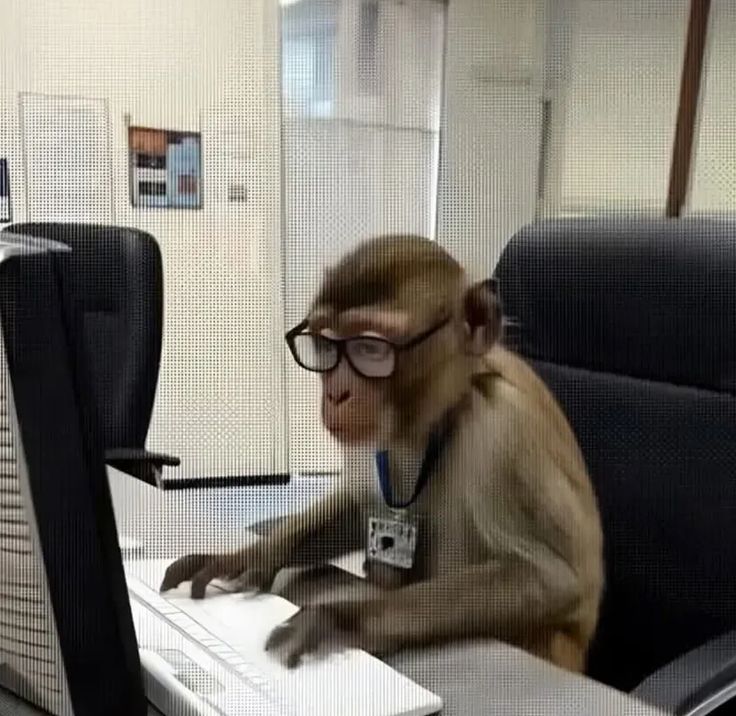 Desk Monkey IT Specialist meme template blank - image format