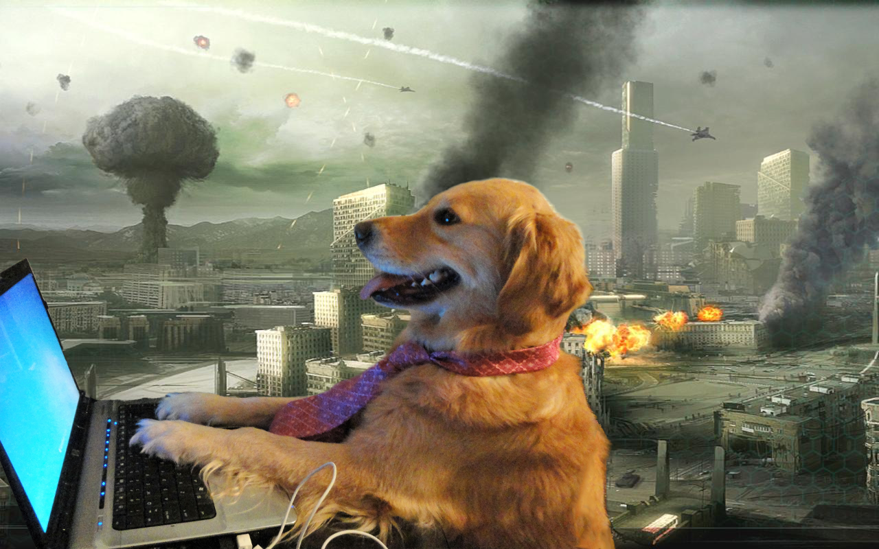 Dog at Computer in War meme template blank - image format