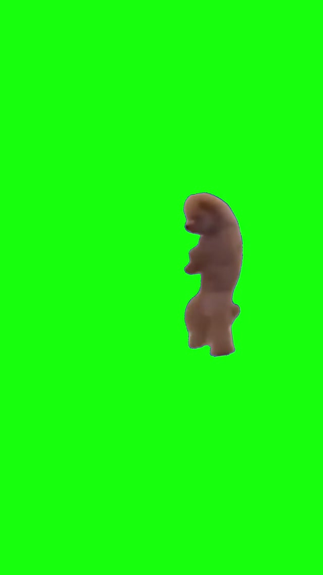Dog Dancing To Get Low meme template blank