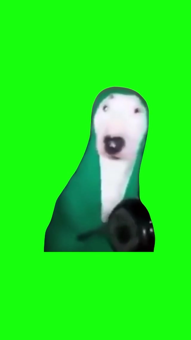 Dog Hitting Pan meme template blank